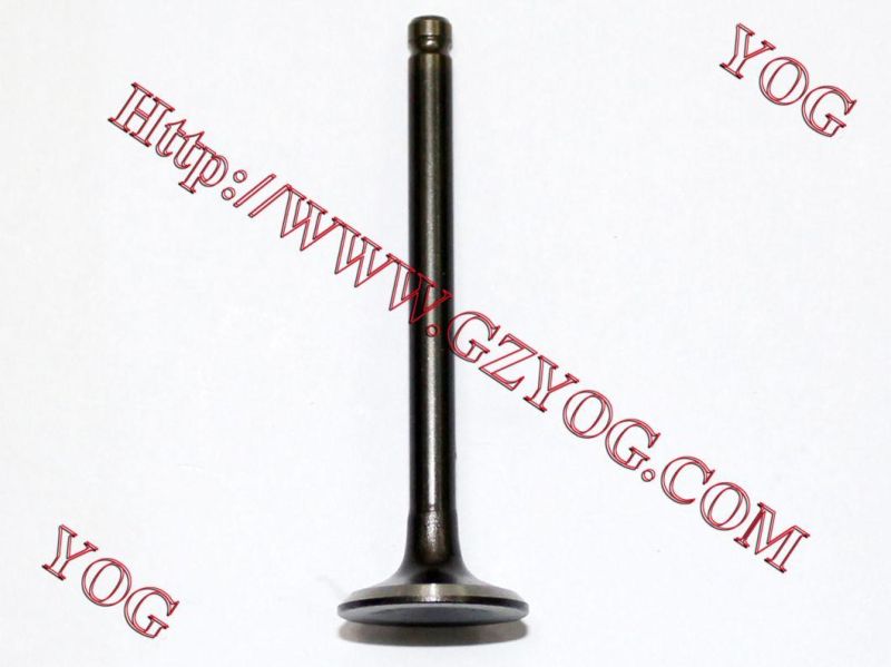 Motorcycle Valve for Outlook-150/CD110