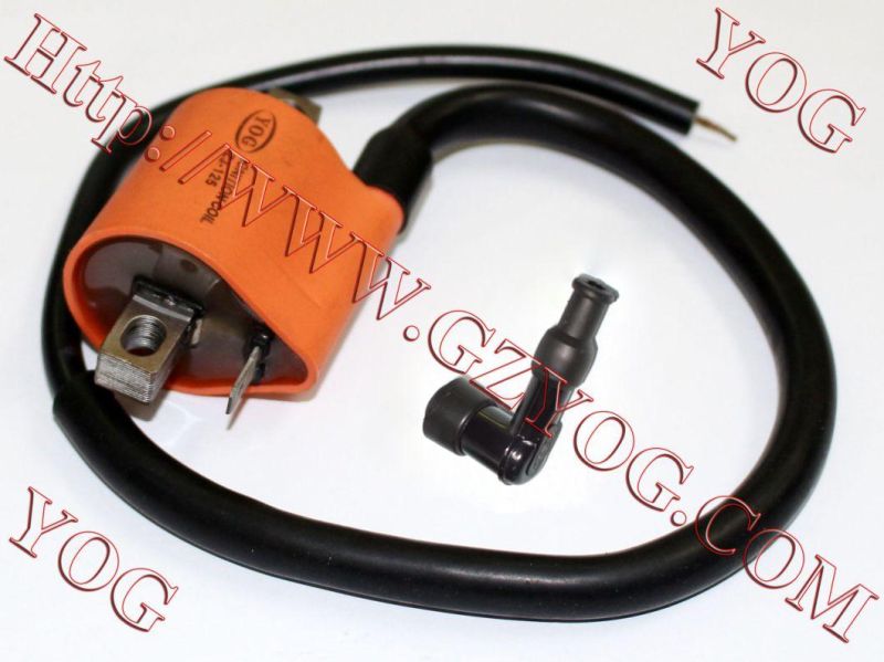 Motorcycle Spare Parts Motorcycle Ignition Coil Gy6-125 ATV-49c Ax100