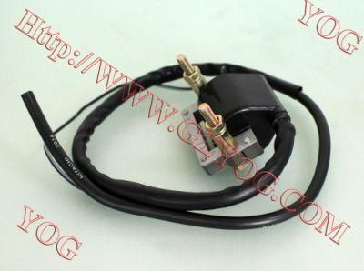 Motorcycle Parts Ignition Coil for RS100 Cg-125