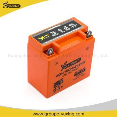 Hot Sale Motorcycle Accessories Maintenance Free Battery: Mf12V9-2A
