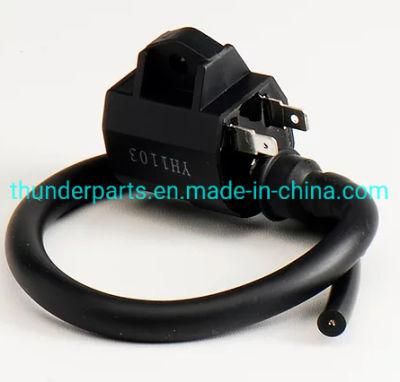 Motorcycle Ignition Coil/Bobina Alta/Encendido An125, Benelli, Genesis, Zongshen, Sanya