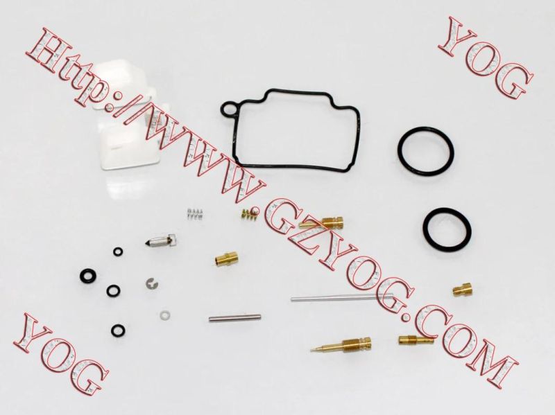 Motorcycle Parts Carburetor Repair Kit for Ax100 Dy100 Cg200