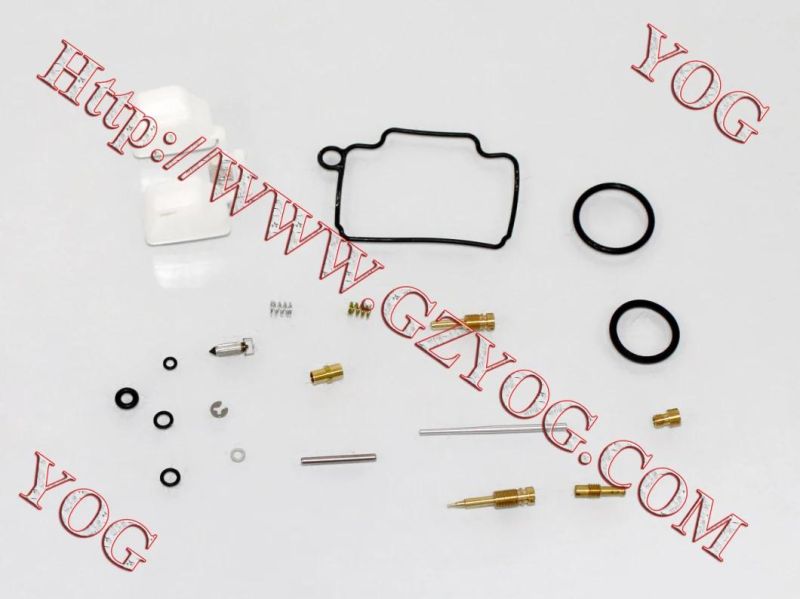 Motorcycle Parts Carburetor Repair Kit for Ax100 Dy100 Cg200