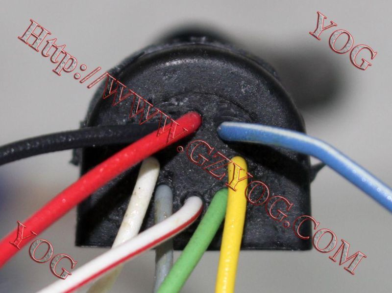 Motorcycle Parts Stator Comp. Rx125/ Dy100
