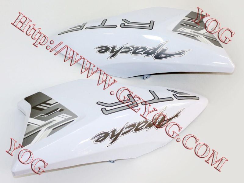 Motorcycle Spare Parts Oil Tank Fuel Tank Side Cover for Traxx150 Gxt200