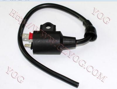 Motorcycle Parts Ignition Coil Ignition Comp. for Bajaj Boxer 100cc/RC80/Xrm/Pasolas Ds125/Dt200/RS100/Tmx150/Xr150L and Other Models