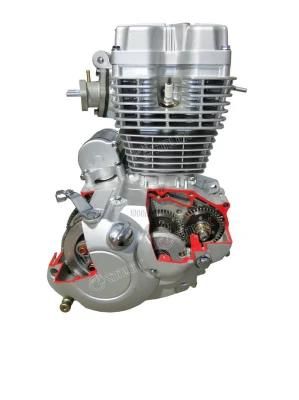 150cc/200cc/250cc Air Cooling/Water Cooling Three-Wheeled Motorcycle Engine Motor Cycle Engine