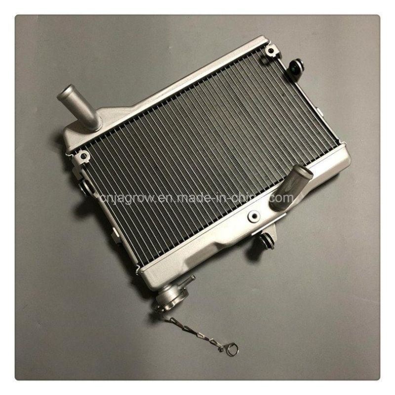 YAMAHA Mt 07 Radiator for Sale OEM Number 1ws-12461-00