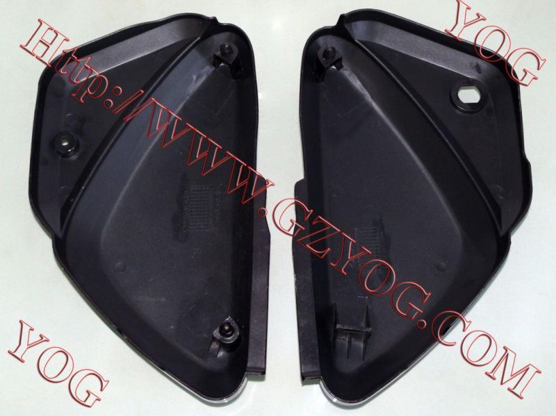Motorcycle Parts Motorcycle Side Cover for Suzuki Ax100 New Model