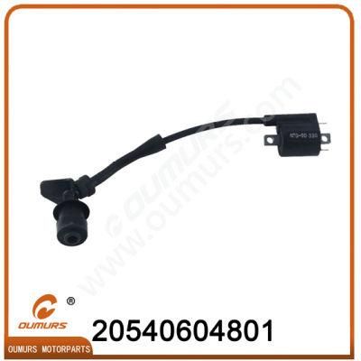 Electric Accessories Ignition Coil Motorcycle Parts for YAMAHA Bws125