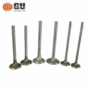 Gn/En125motorcycle Engine Valve Gn/En125 Motorcycle Spare Parts