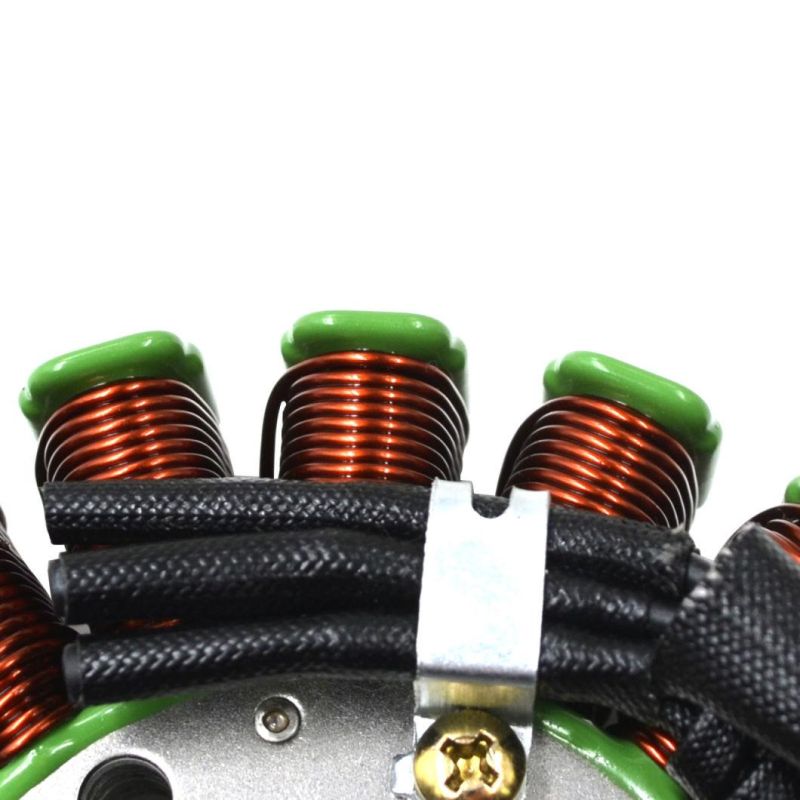 Motorcycle Generator Parts Stator Coil Comp for Triumphh Speed Triple 1050