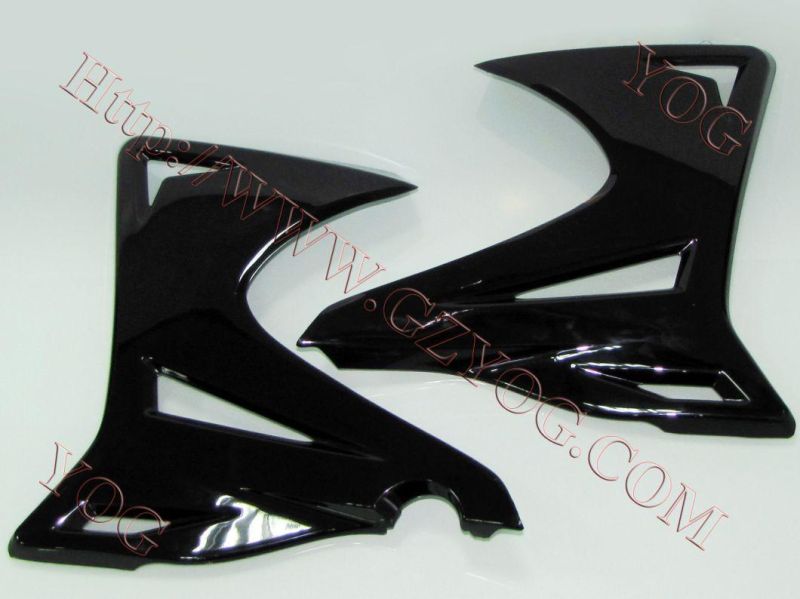 Motorcycle Spare Parts Oil Tank Fuel Tank Side Cover for Tx 200gy/Skr200