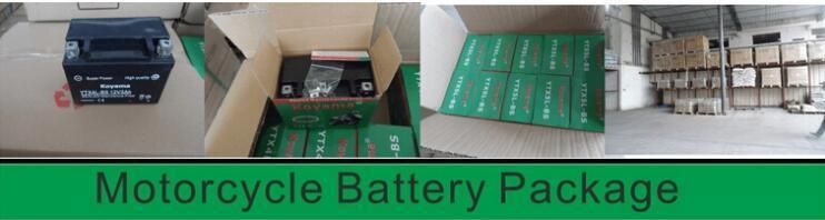 Excellent Performance Maintenance Free 12V 6.5ah Motorcycle Battery Yb6.5L-BS/12n6.5L-BS