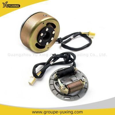 Motorcycle Part High Quality Magneto Stator Coil