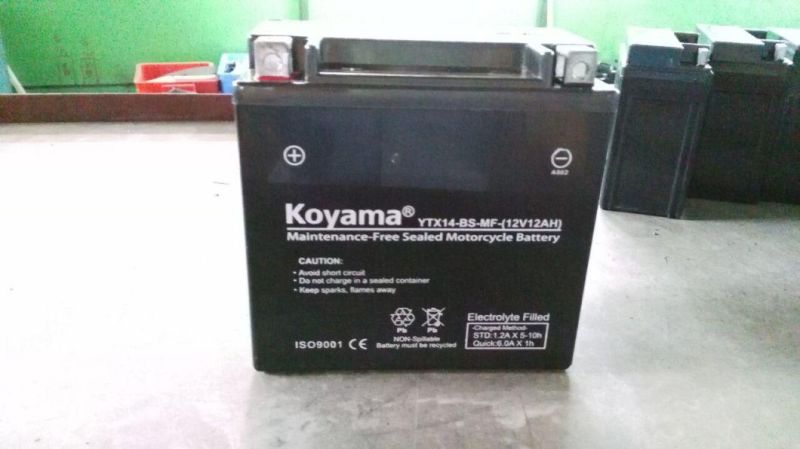 Sealed Motorcycle Battery Ytx14-BS 12V14ah Gel Type