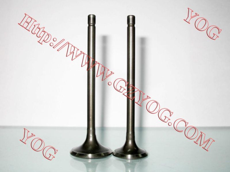 Motorcycle Spare Parts Aluminum Alloy Valve Set Ybr125 Fz16