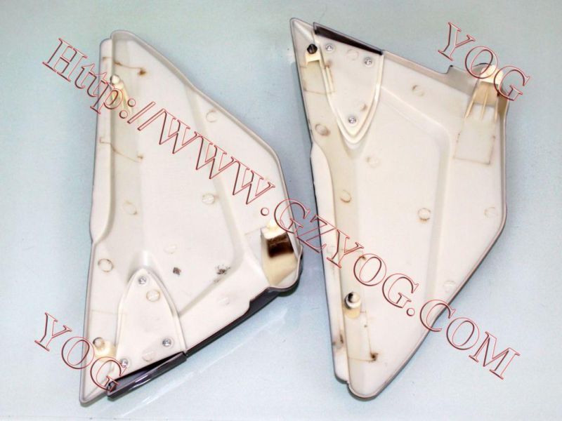 Motorcycle Spare Parts Oil Tank Fuel Tank Side Cover for Skr 200