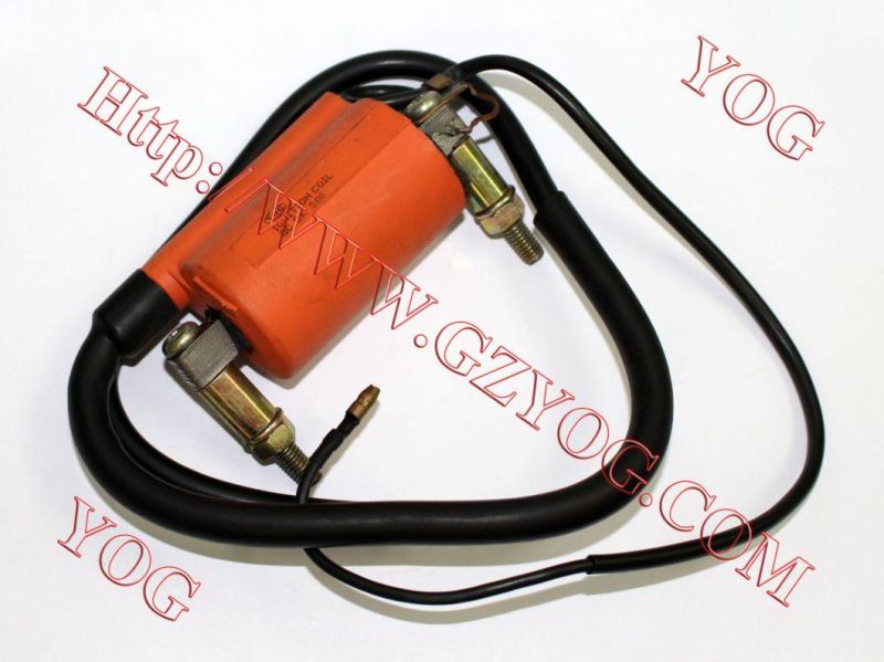 Motorcycle Spare Parts Motorcycle Ignition Coil for Bajaj Boxer, CB125 Ace, Gn125