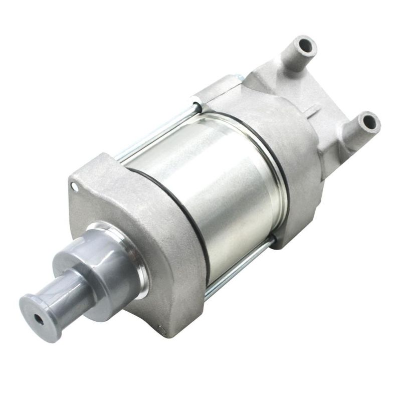 Motorcycle Engine Part Starter Motor Fit for YAMAHA 5vy-81890-00-00 5vy-81890-01