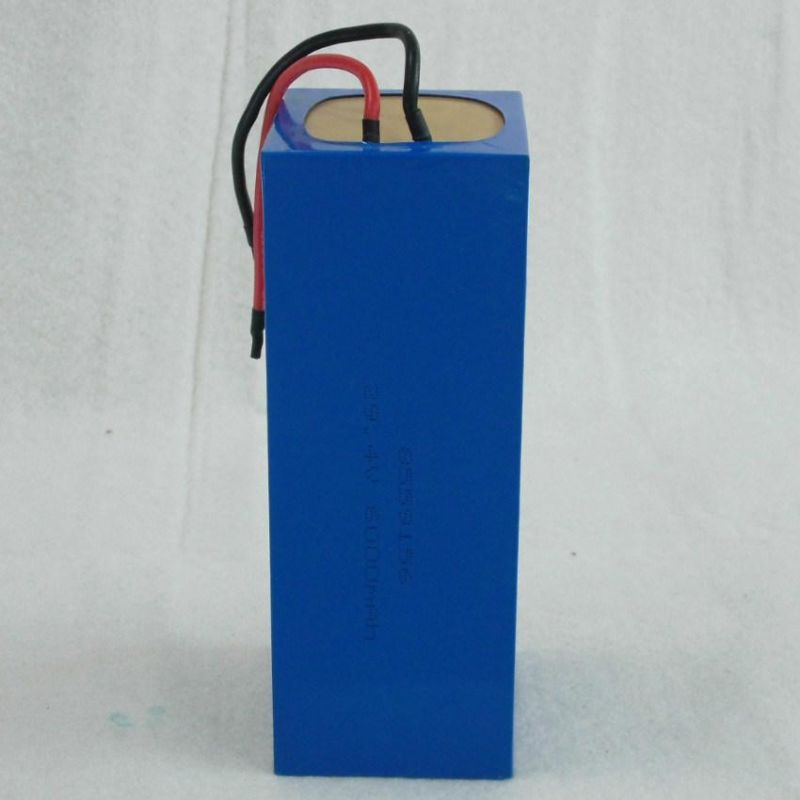 Customized 37V 10ah Power Lithium Battery LiFePO4 for E-Bike