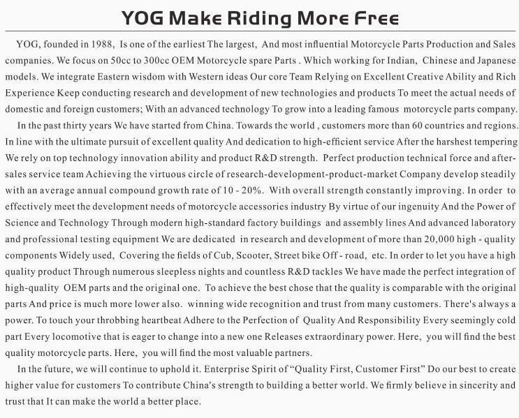 Yog Motorcycle Parts Motorcycle Front Hub Comp for Honda YAMAHA and Others
