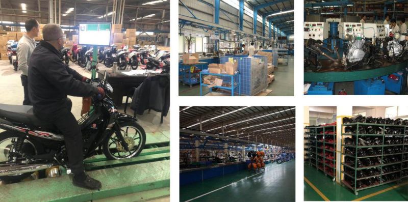 Motorcycle Parts Handle Lever for Suzuki Gixxer / 57421-30h10-000 / 57621-28g50-000