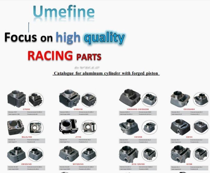 High Quality Chinese Motorcycle Spare Parts Motorcycle Complete Cylinder Set for Fz16