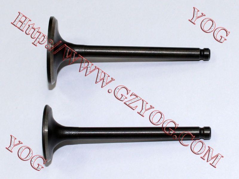 Yog Motorcycle Spare Parts Valve for Bajaj Bm100esks Bm150 Boxer Cg125