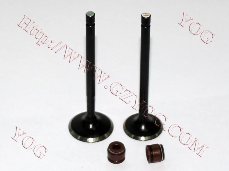 Yog Motorcycle Spare Parts Valve and Oil Seal for Tvs Star Bajaj Bm100esks An125