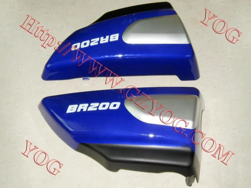 Yog Motorcycle Parts Side Panel/Side Cover for Tvs Star/Gn150