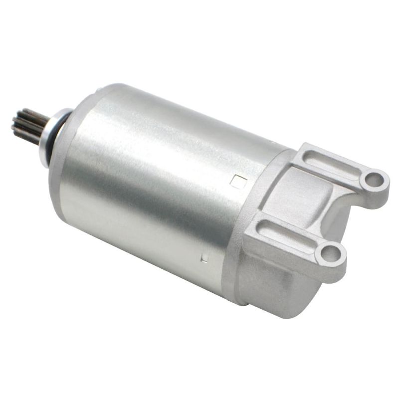 Motorcycle Engine Parts Starter Motor for BMW K1200gt K1300r K1600gtl