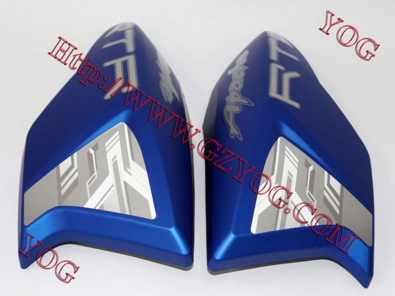Motorcycle Spare Parts Oil Tank Fuel Tank Side Cover for Traxx150 Gxt200