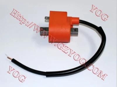 Yog Motorcycle Spare Parts Ignition Coil for Ax100, Tvs Star Hlx125, , Xls125