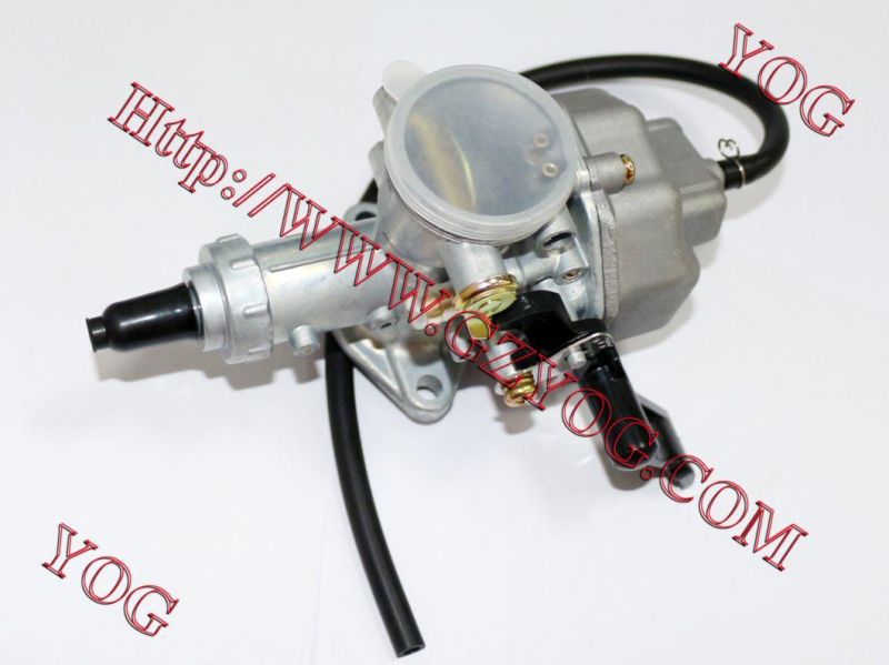 Motorcycle Spare Parts Motorcycle Carburetor for FT110