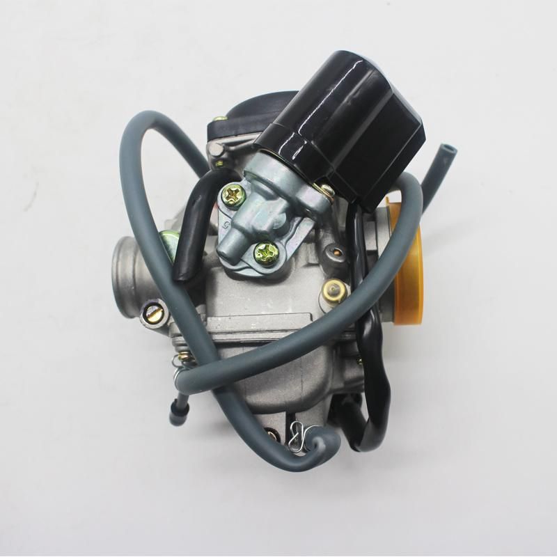 Motorcycle Engine Parts Motorcycle Carburetor for Ws-150