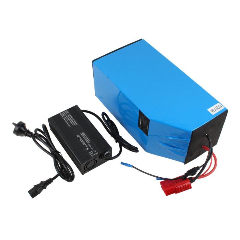 Deep Cycle 60V 72V 54ah 100ah Lithium Solar/Car LiFePO4 Storage Battery Pack for Electric Scooter Vehicle Bicycle Marine RV UPS