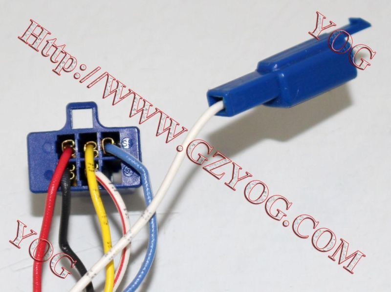 Motorcycle Parts Stator Comp. Rx125/ Dy100