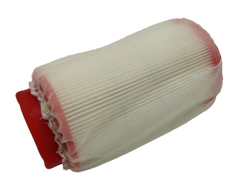 Air Filter for Linhai 260cc 300cc Buyang Feishen Fa-D300 G300