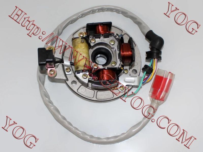 Yog Motorcycle Parts Motorcycle Magneto Coil/Stator Comp for Italika Ds125 (STATOR COMP. W/PLATE)