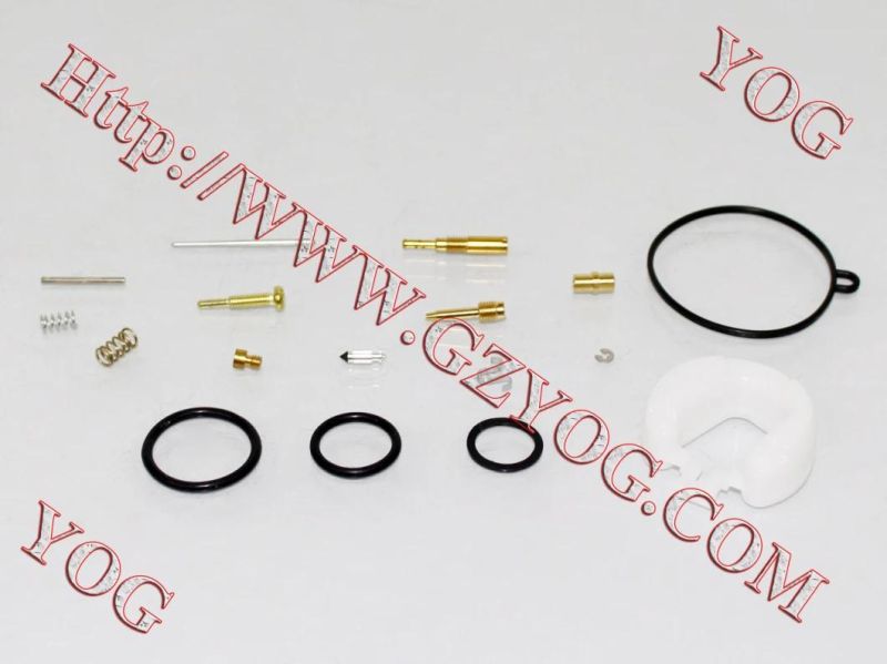 Motorcycle Parts Carburetor Repair Kit for Ax100 Dy100 Cg200