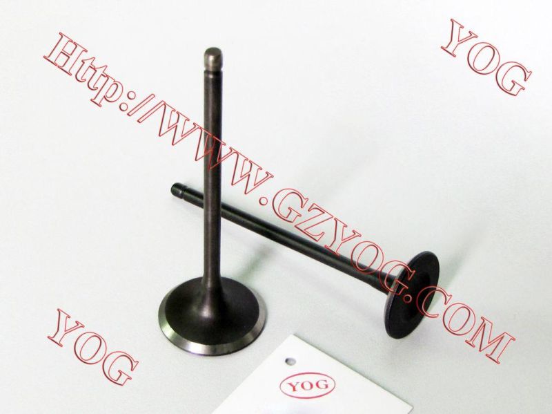 Motorcycle Engine Valve Kit Valvulas CB250 CB110 Wy125