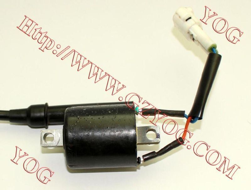Motorcycle Parts Ignition Coil Ignition Comp. for Tvs Start Hlx125/Tvs Start Lf125