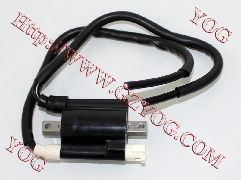 Yog Motorcycle Spare Parts Ignition Coil for Ax100, Tvs Star Hlx125, , Xls125