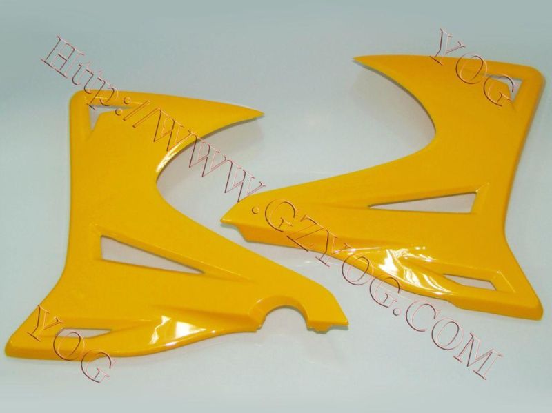Motorcycle Spare Parts Oil Tank Fuel Tank Side Cover for Shineray 200/Skr200