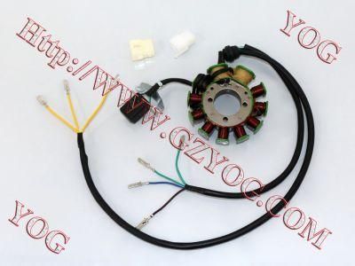 Yog Motorcycle Parts Motorcycle Magneto Coil for Cg200 Three Wheelers Tricycle