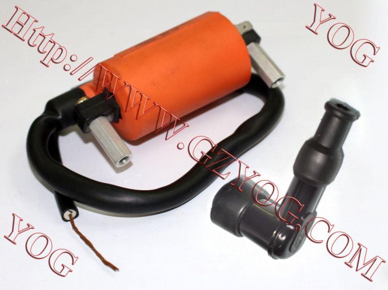 Motorcycle Spare Parts Motorcycle Ignition Coil Gy6-125 ATV-49c Ax100