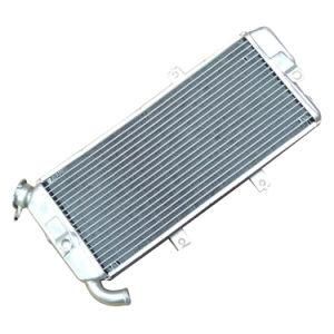 Frdka010 Motorcycle Parts Aluminum Radiator for Frdka010 Ex650 09-11