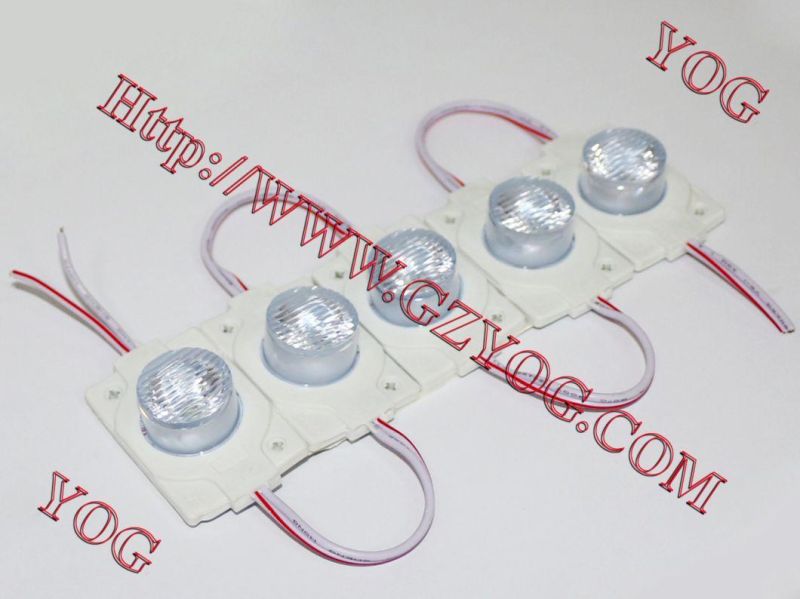 Yog Motorcycle Parts Motorcycle LED Light/LED Ball/Luces LED