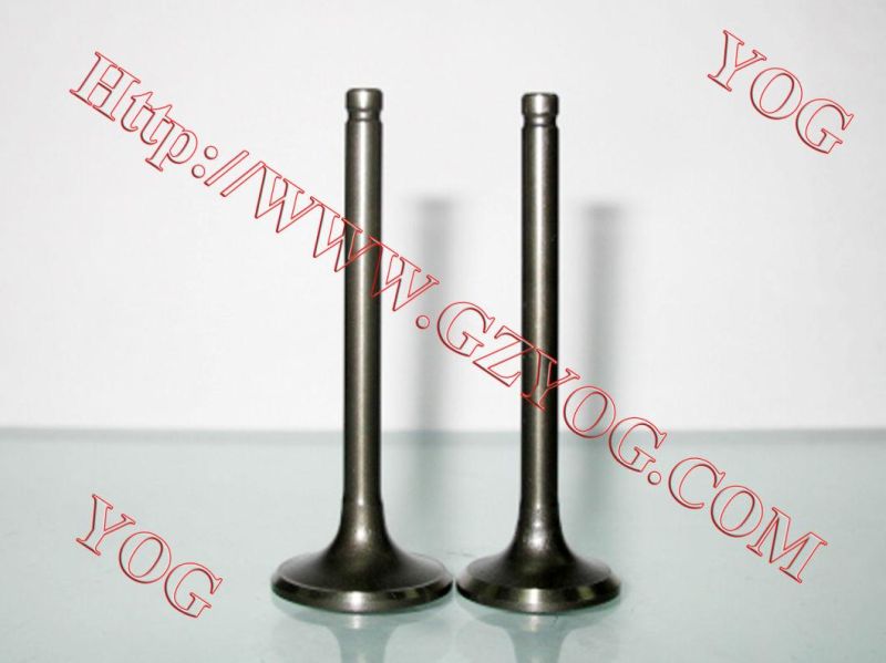Motorcycle Engine Valve Kit Valvulas GS125 En125 Cg125
